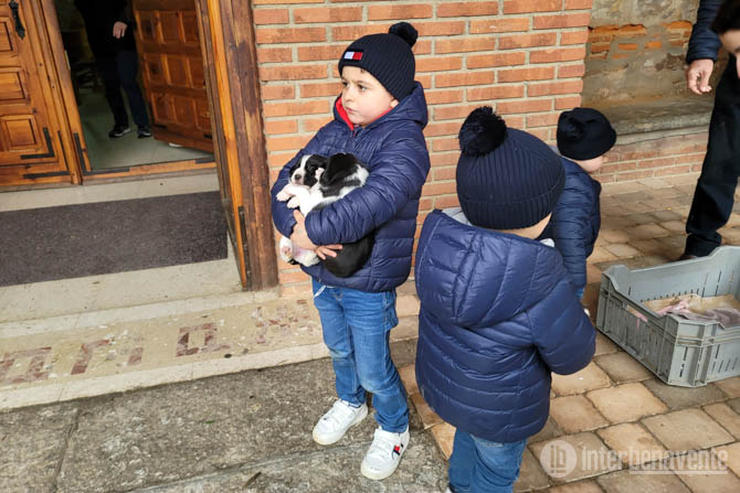 [Img #187355]