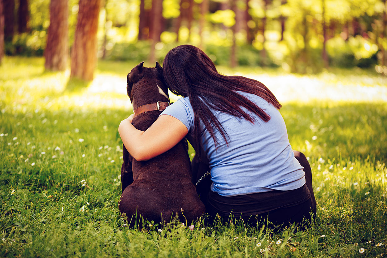 Cremación de mascotas: lo que todo propietario debe saber