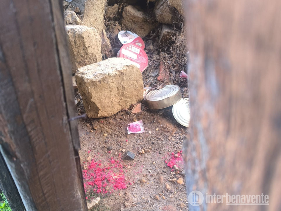 Investigan varios puntos con veneno en Morales de Valverde tras la muerte de seis gatos y un perro