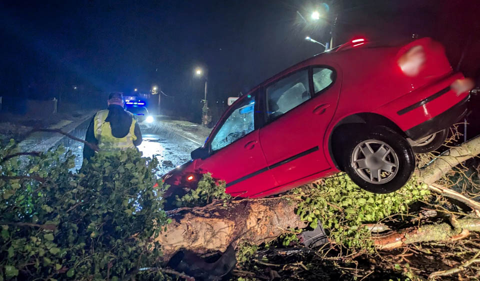 Un conductor resulta ileso tras chocar contra un árbol caído por el temporal en la ZA‑611
