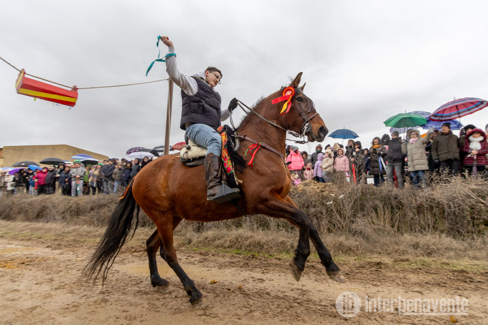 VÍDEO: Los mejores momentos de la carrera de cintas de Cerecinos de Campos