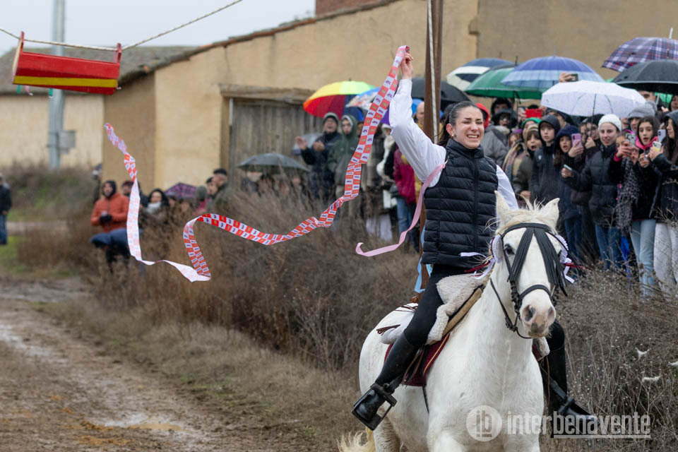 La carrera de cintas de Cerecinos de Campos desafía al frío y al barro en el día grande de San Antón