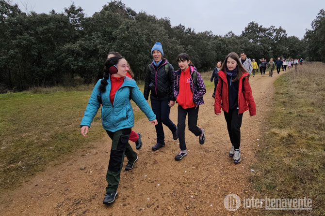 [Img #210673]