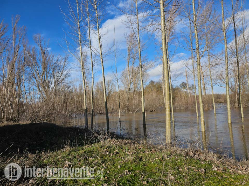 Órbigo y Castrón mantienen sus caudales mientras el Tera sube y el Esla deja de estar en alerta