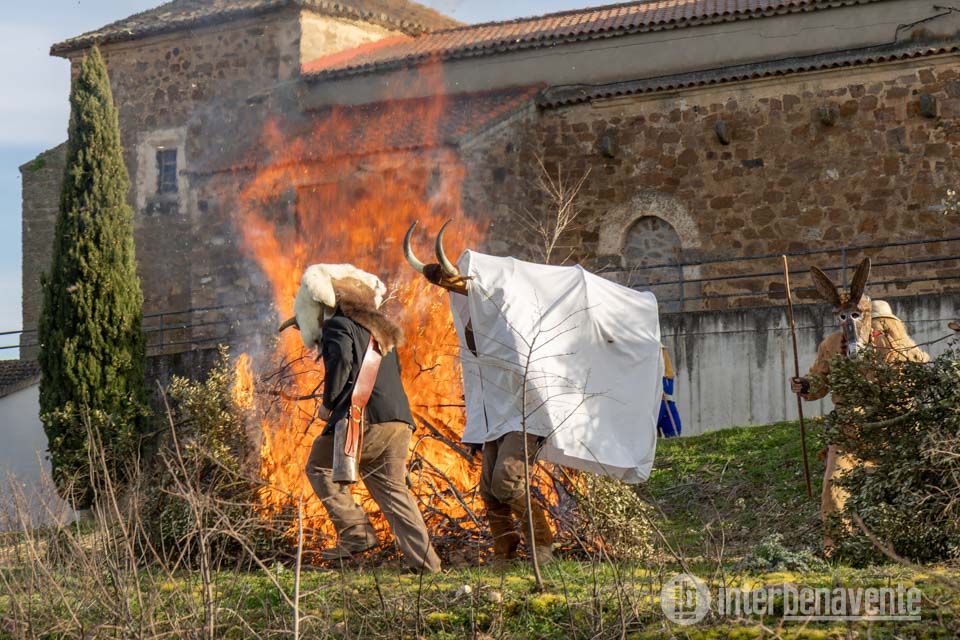El Carnaval del Toro de Morales de Valverde mantiene los rituales de una tradici&oacute;n secular