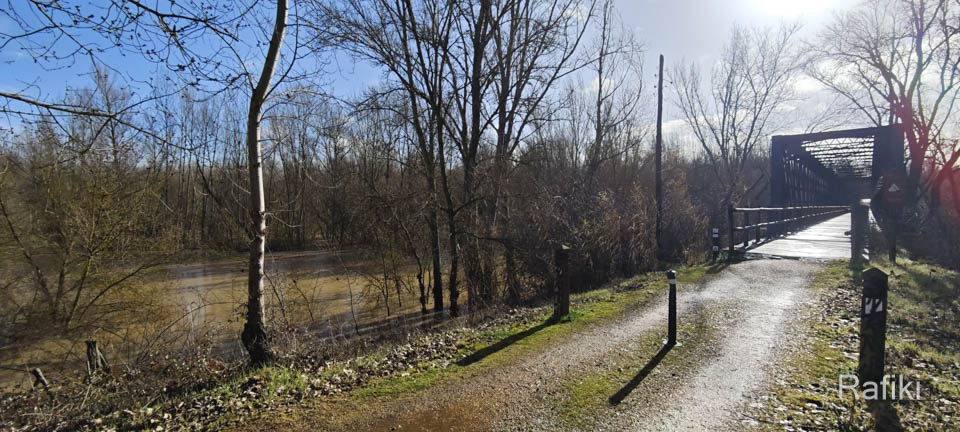 Tres ríos a su paso por la comarca de Benavente en alerta ante crecidas