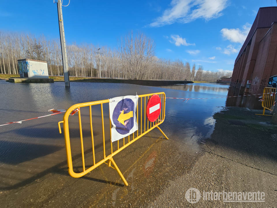 Imágenes de la situación del Órbigo en nivel rojo entre Manganeses y Santa Cristina de la Polvorosa