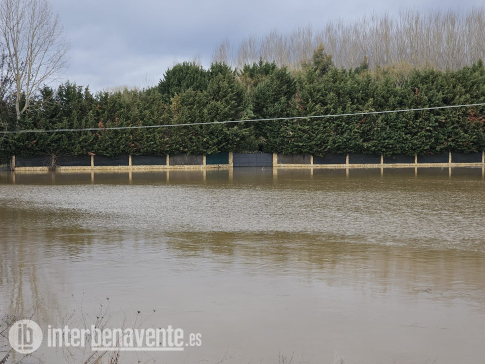 El Órbigo en nivel rojo, el Esla en naranja y el Tera en alerta amarilla a su paso por la comarca de Benavente