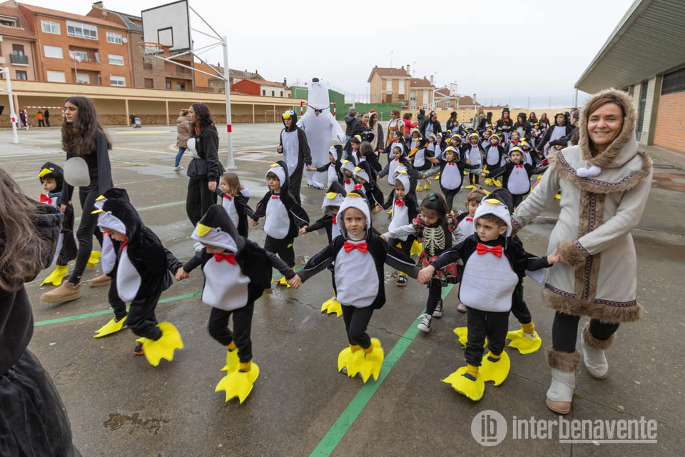 La batucada de los pingüinos de Carnaval en el Colegio Virgen de la Vega de Benavente