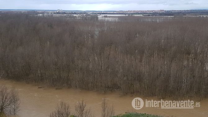 La Junta aprueba subvenciones para la contratación de desempleados en los municipios afectados por las pasadas inundaciones