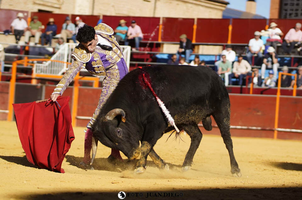 La Junta de Castilla y León destina 295.000 euros para la organización del circuito de novilladas integrado en la Liga Nacional