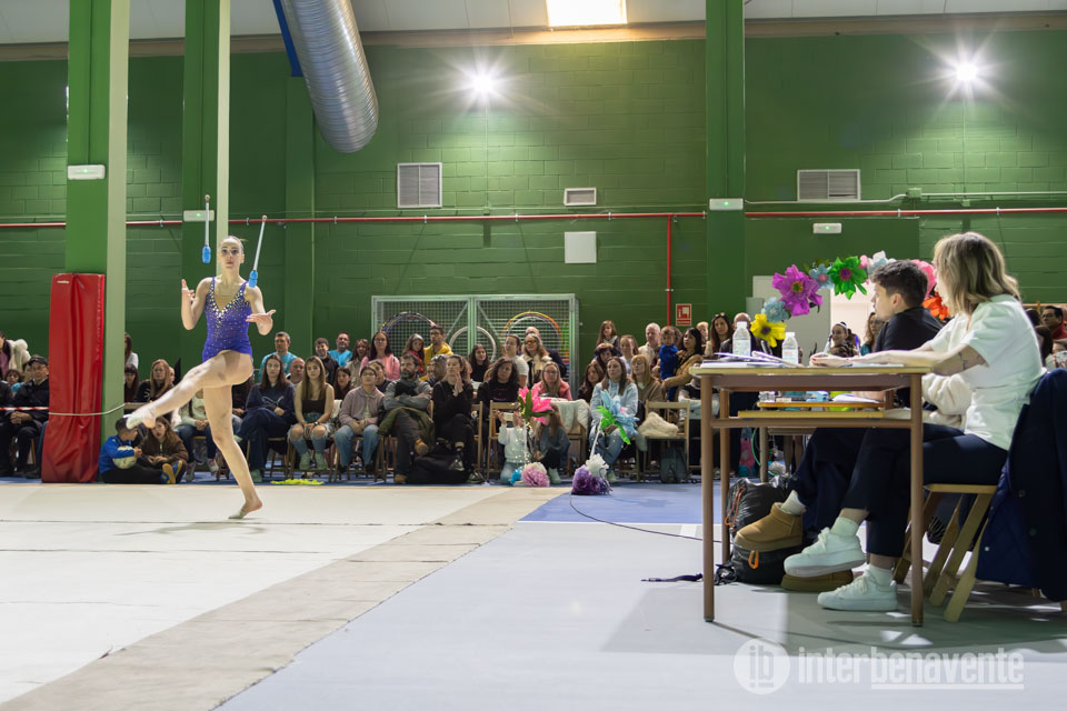 La Gimnasia R&iacute;tmica provincial emociona en La Rosaleda de Benavente