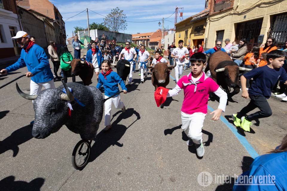 La peque&ntilde;a cantera taurina toma la calle en Benavente con las Escuelas de Gente del Toro