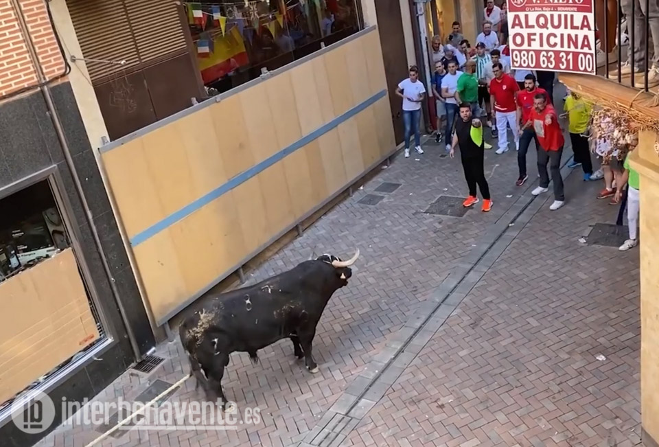El recorrido de los toros enmaromados; de la Calle Matadero girar&aacute;n hac&iacute;a la Calle Herreros
