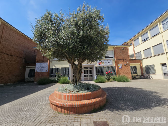 La Junta abre el plazo de admisión en las Escuelas Oficiales de Idiomas para el curso 2026‑2027