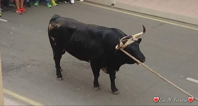 Foto enviada por Eva María Ferrero Miguélez