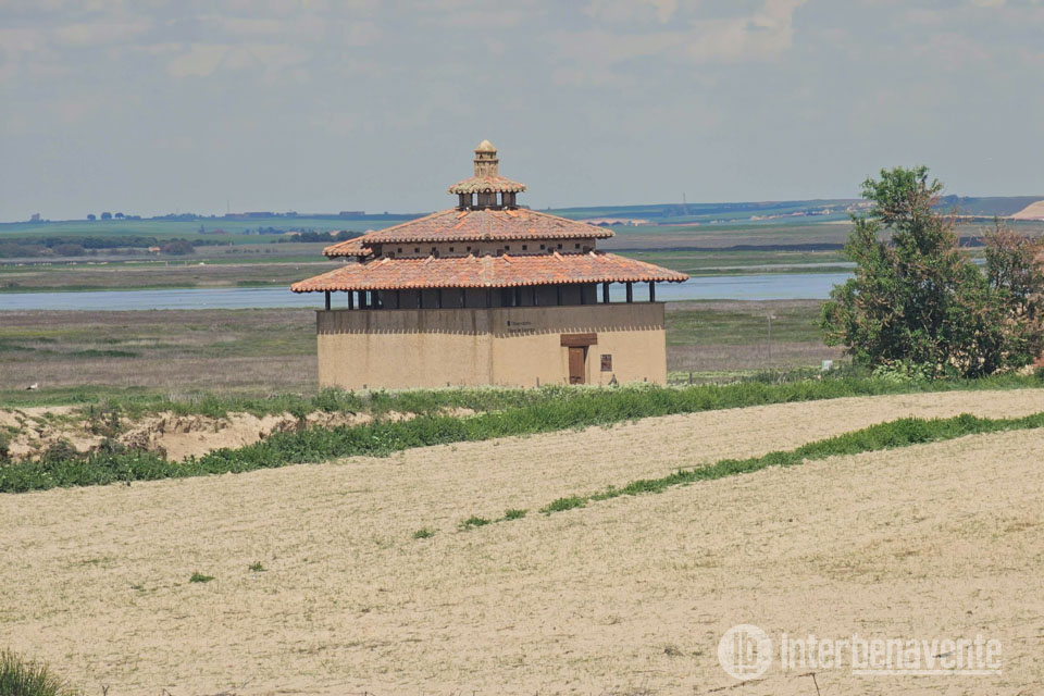 La Junta lanza una ayuda directa de 15.000 euros para nuevos emprendedores en Tierra de Campos