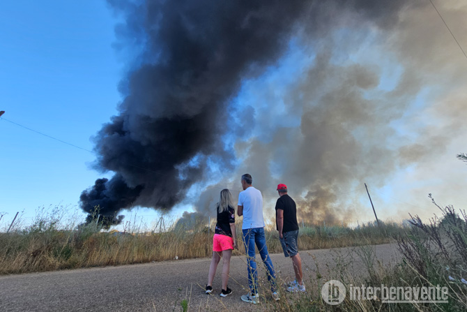 La Junta amplía hasta el 25 de junio la alerta por riesgo de incendios debido a la ola de calor
