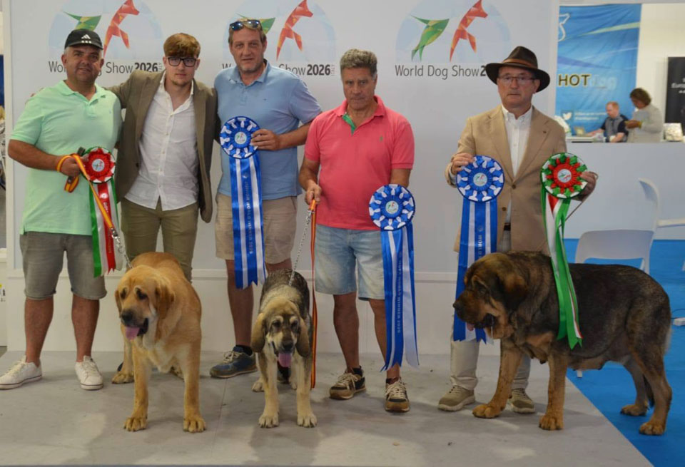 Dos benaventanos conquistan el Mundial Canino de Bolonia con sus mastines