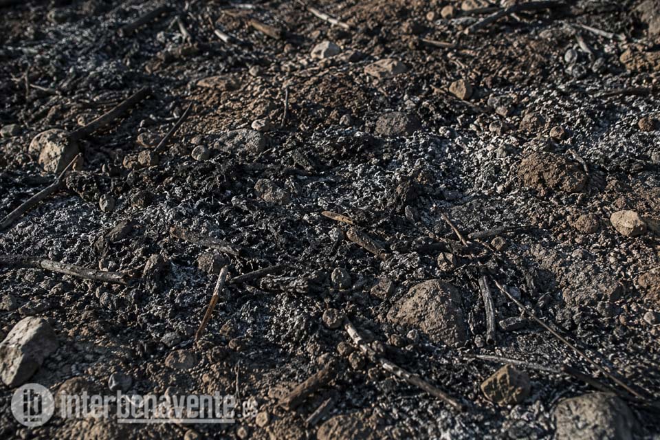 Extinguido el incendio forestal en Pereruela originado por un rayo