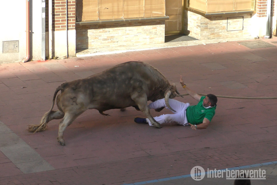 V&Iacute;DEO: El Torito del Alba "Cardilisto" vol&oacute; por el recorrido del Toro Enmaromado