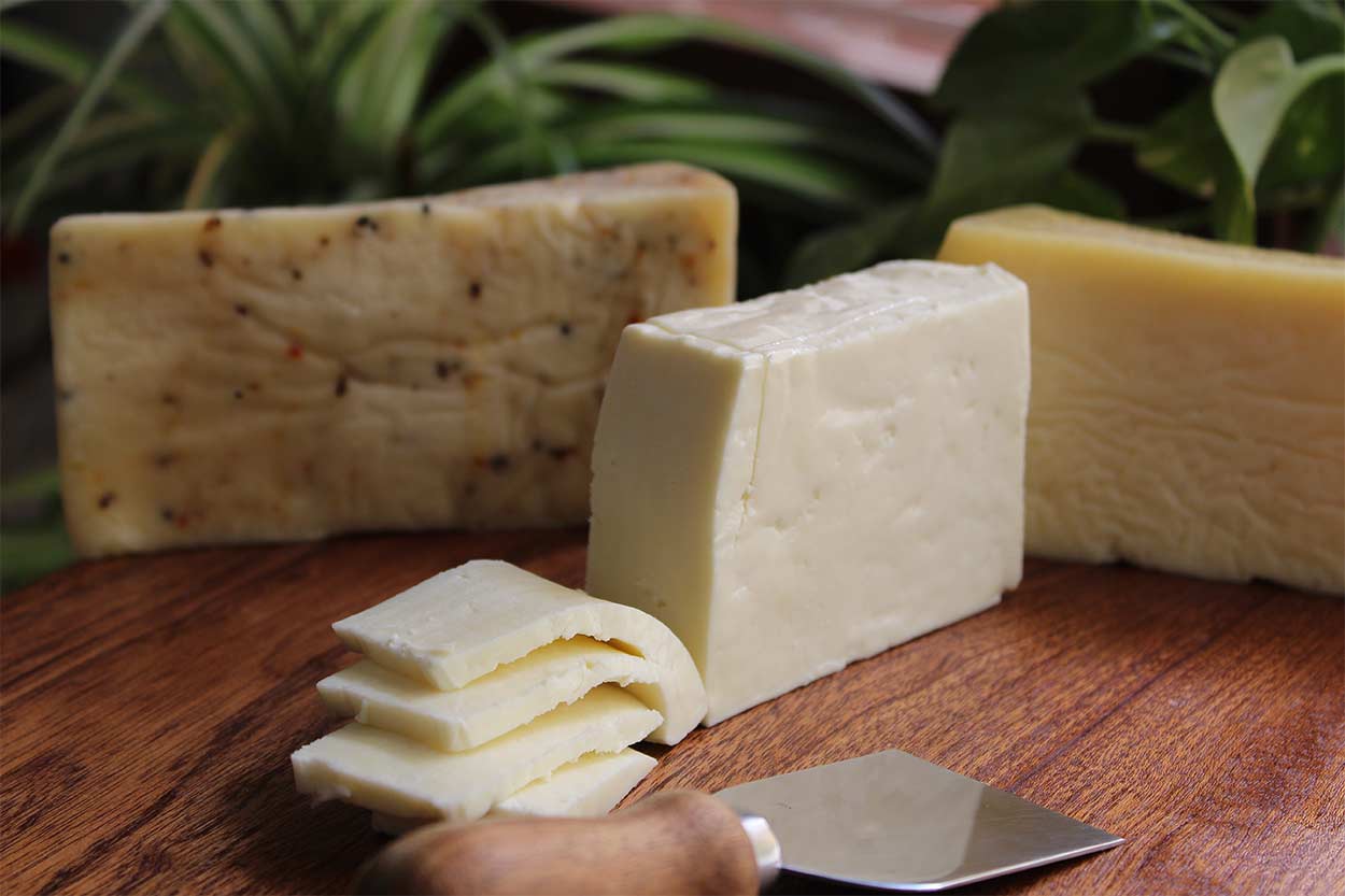 Platos internacionales de queso con un atractivo gastronómico único