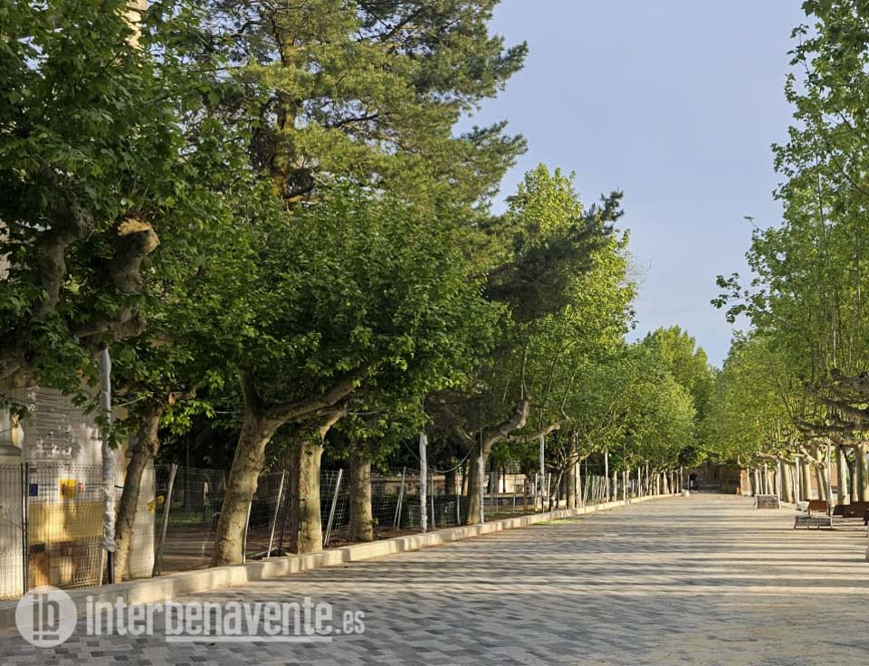 Los Paseos Centrales de la Mota se abren al p&uacute;blico este viernes 3 de julio
