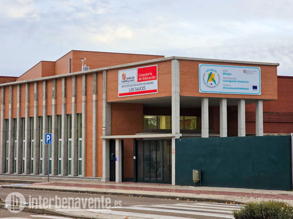 Un nuevo alumno del IES Los Sauces se alza con el Premio Bachillerato de Investigaci&oacute;n/Excelencia de la Junta de Castilla y Le&oacute;n