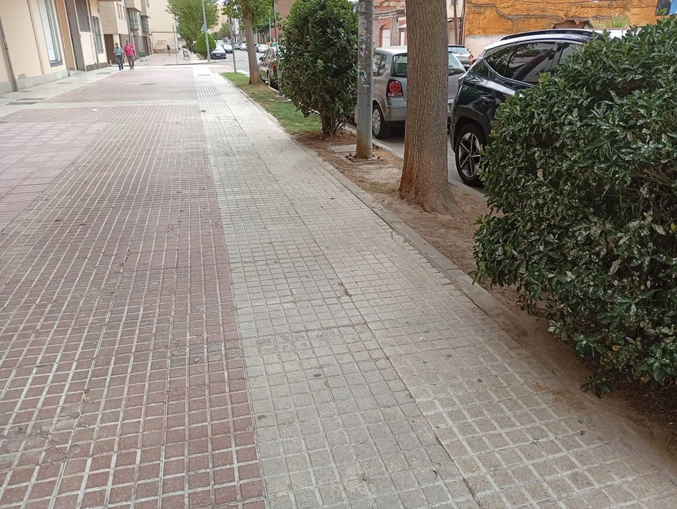 [Img #242470]