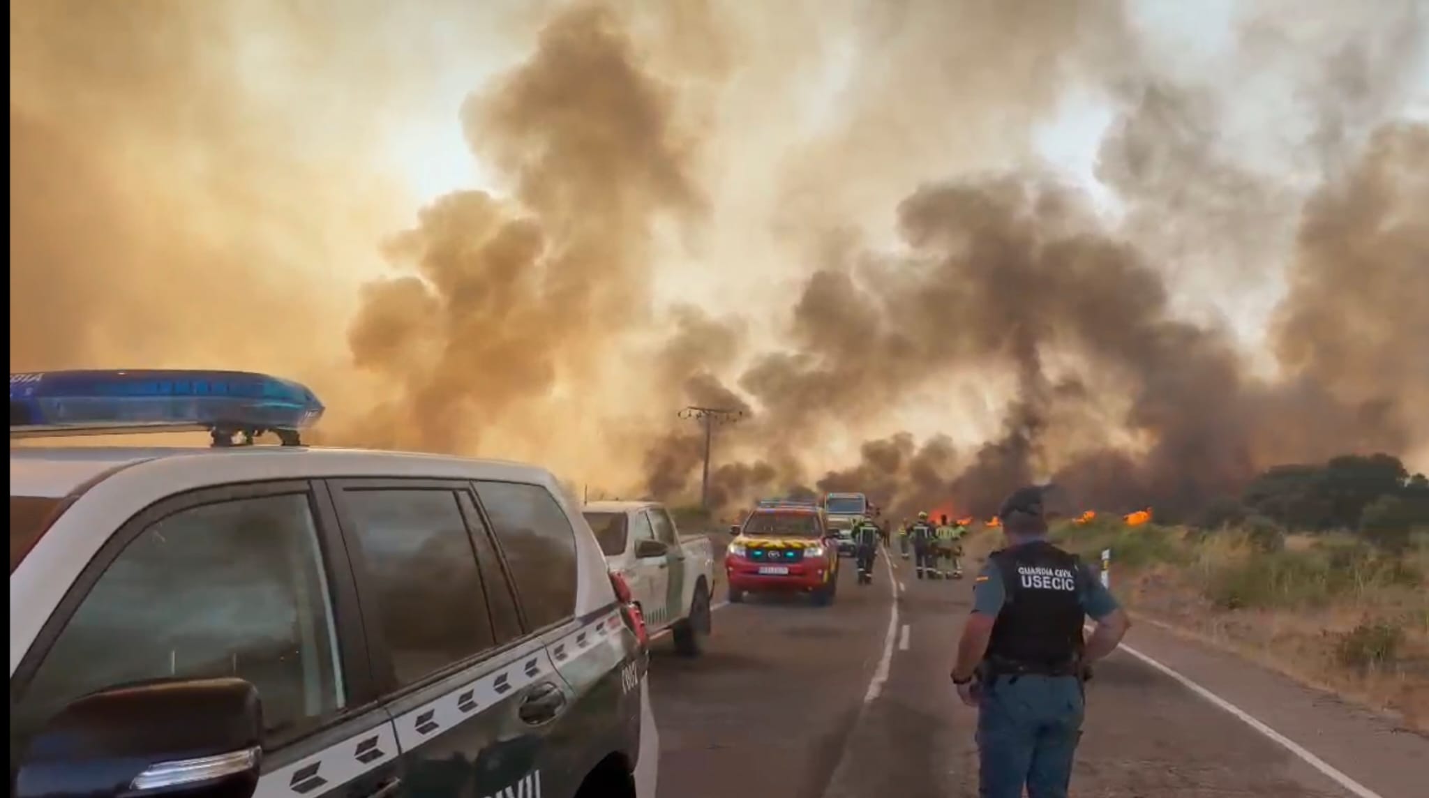 La UME se suma para combatir el incendio forestal de Fermoselle de nivel máximo 2