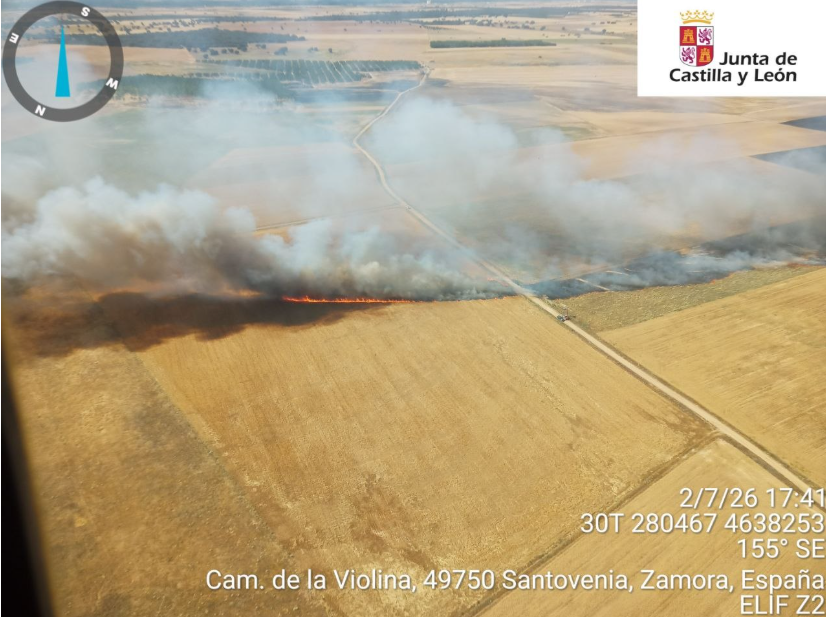 Once medios combaten las llamas de un incendio forestal en Villafáfila