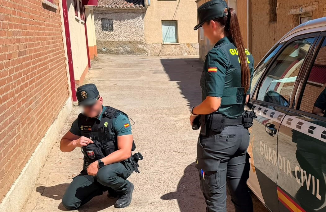 Cinco menores inculpados por un delito de maltrato animal a dos gatos en Villalpando