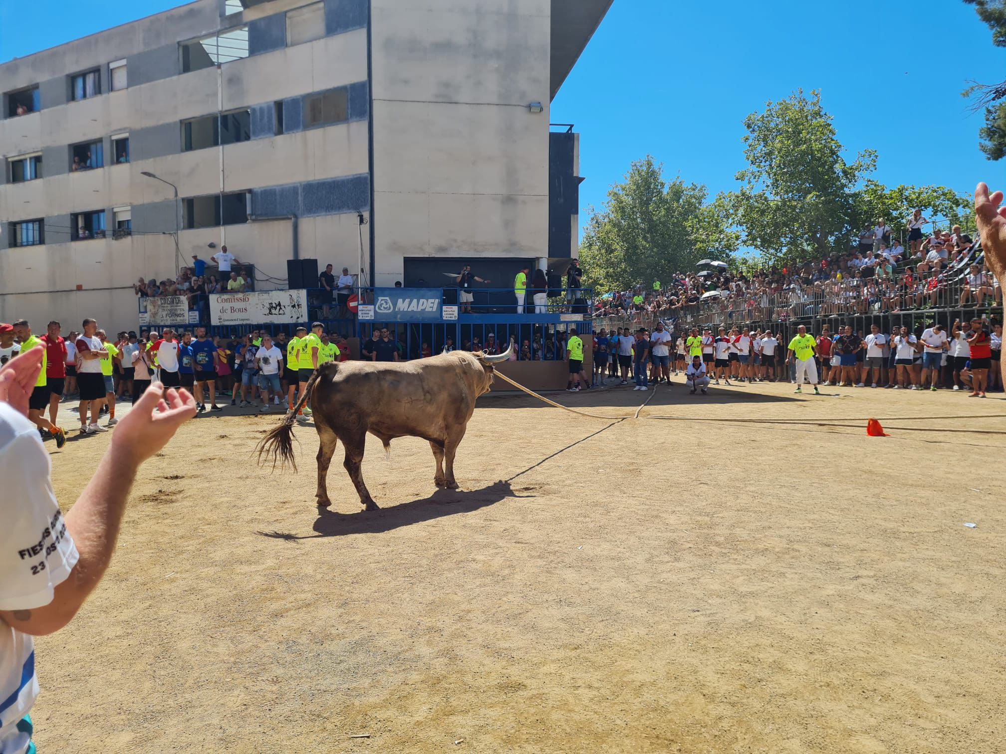Benavente demuestra la uni&oacute;n de su tradici&oacute;n del Toro Enmaromado en el Congreso de Amposta