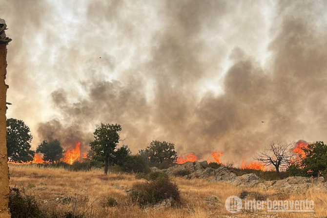 Ayoó de Vidriales subasta el aprovechamiento forestal de biomasa para astillar de madera afectada por el incendio