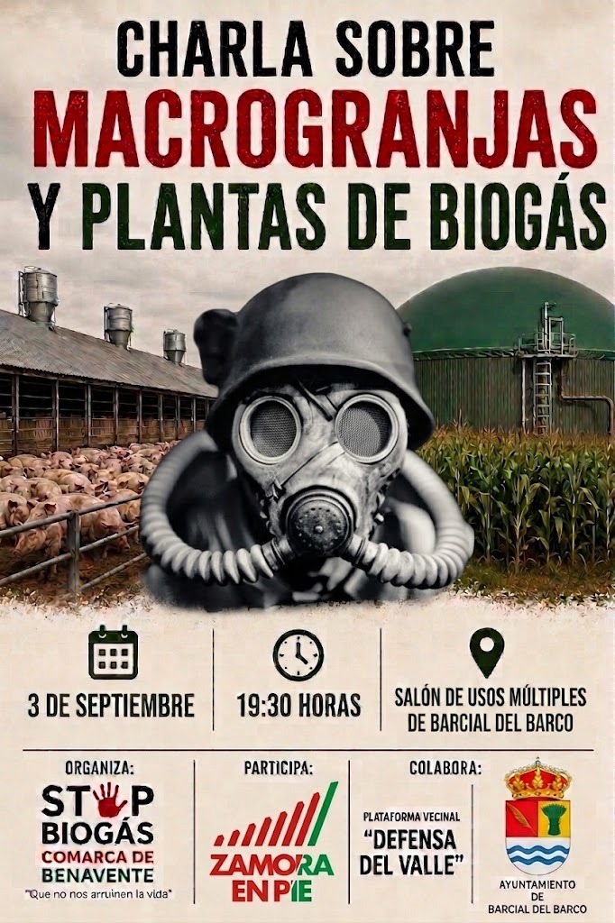 [Img #245594]