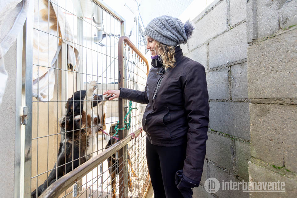 PROCAN renueva el apoyo municipal con una subvención de 27.000 euros para reforzar la atención y adopción de animales abandonados