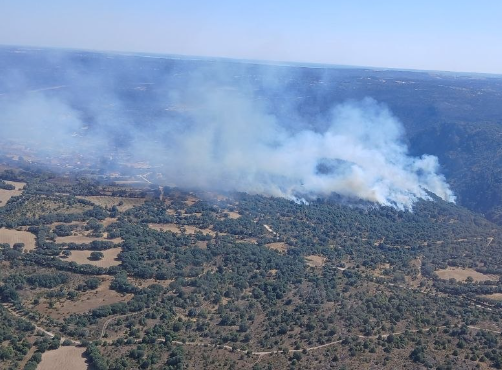 Estabilizado el incendio de Fermoselle y baja a nivel cero