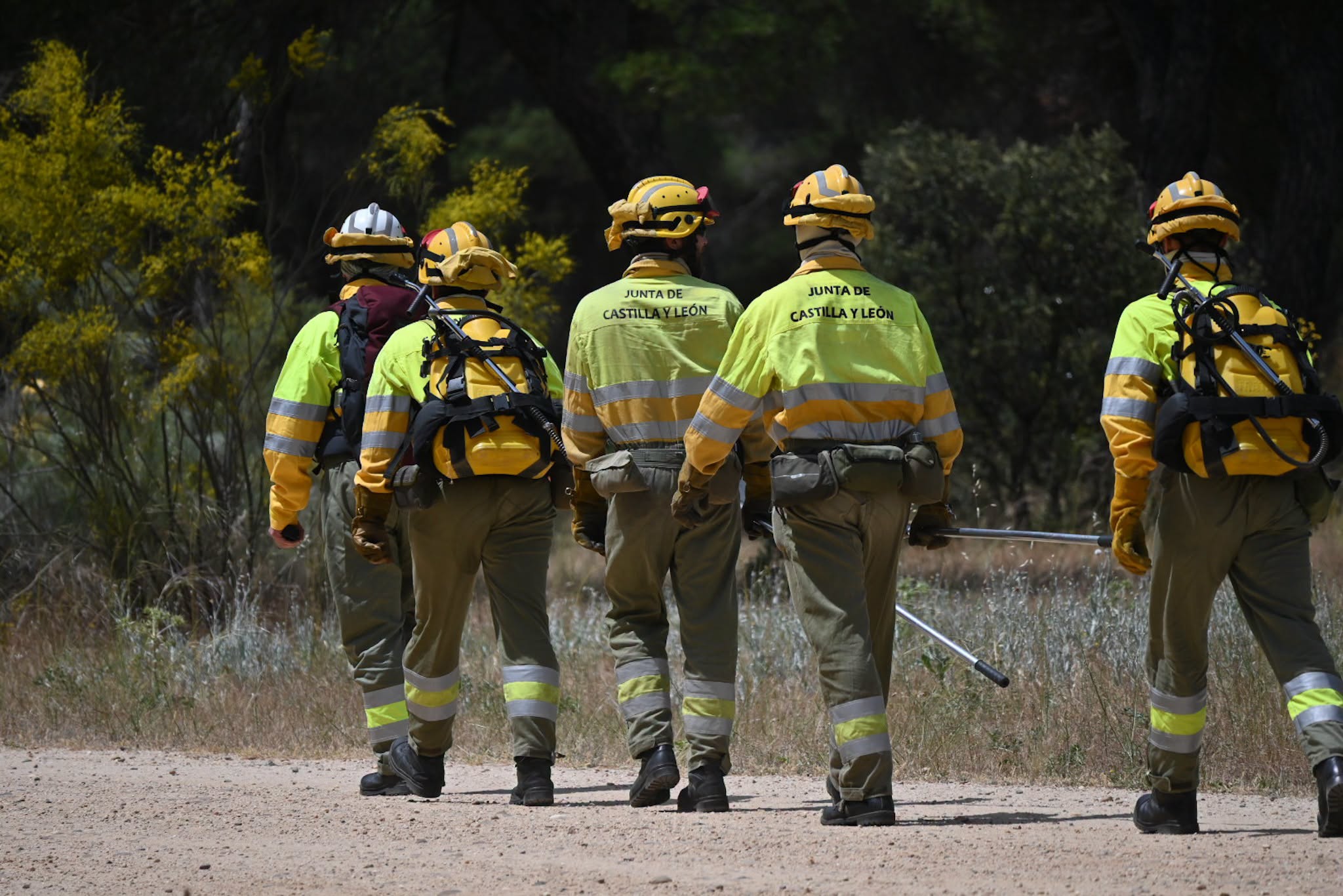 El incendio de Fermoselle baja a nivel 1 con el regreso de todos los evacuados a sus hogares y la apertura de carreteras