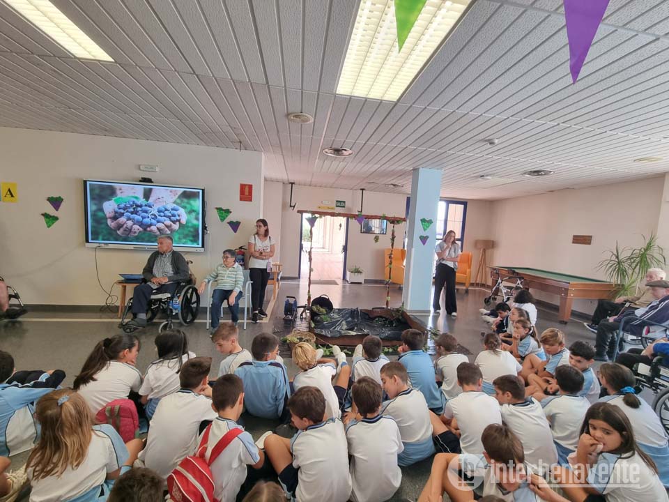 La vendimia reúne a distintas generaciones en la residencia Los Valles de Benavente
