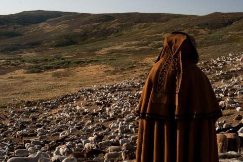 Foto Diputaci&oacute;n de Zamora