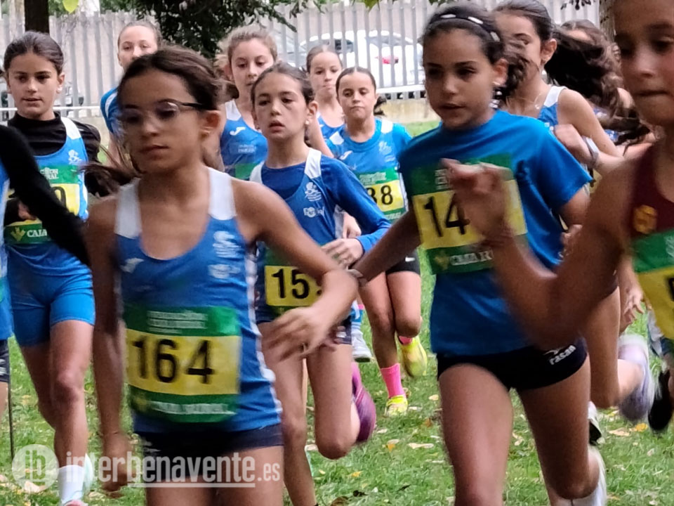 El Benavente Atletismo suma 14 medallas en el I Cross Escolar de Benavente y destaca en varias pruebas nacionales