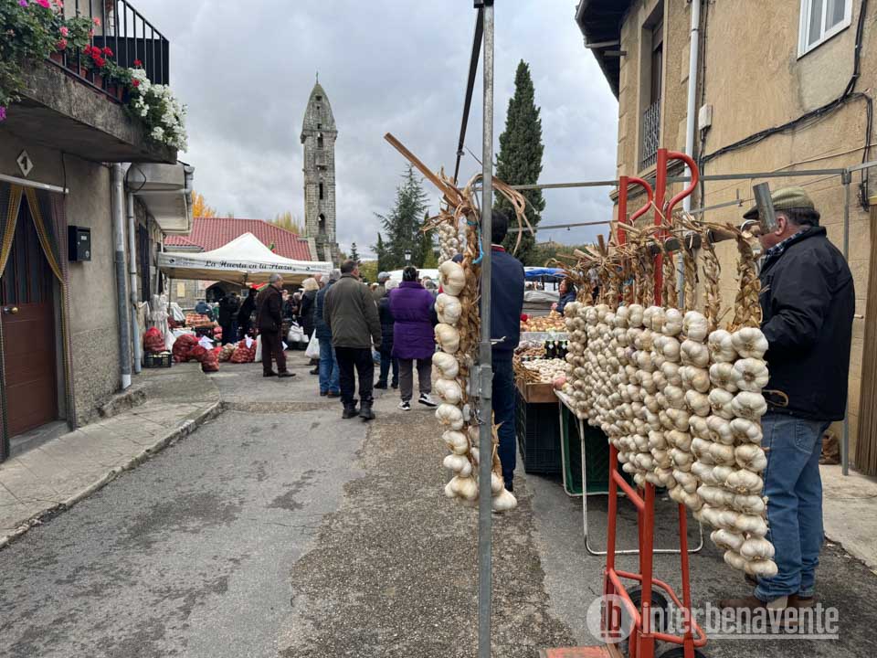 Mombuey celebra San Martino entre ajos, cebollas y tradición popular