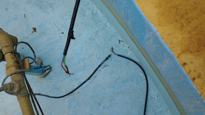 Fotos concejalía de Fiestas