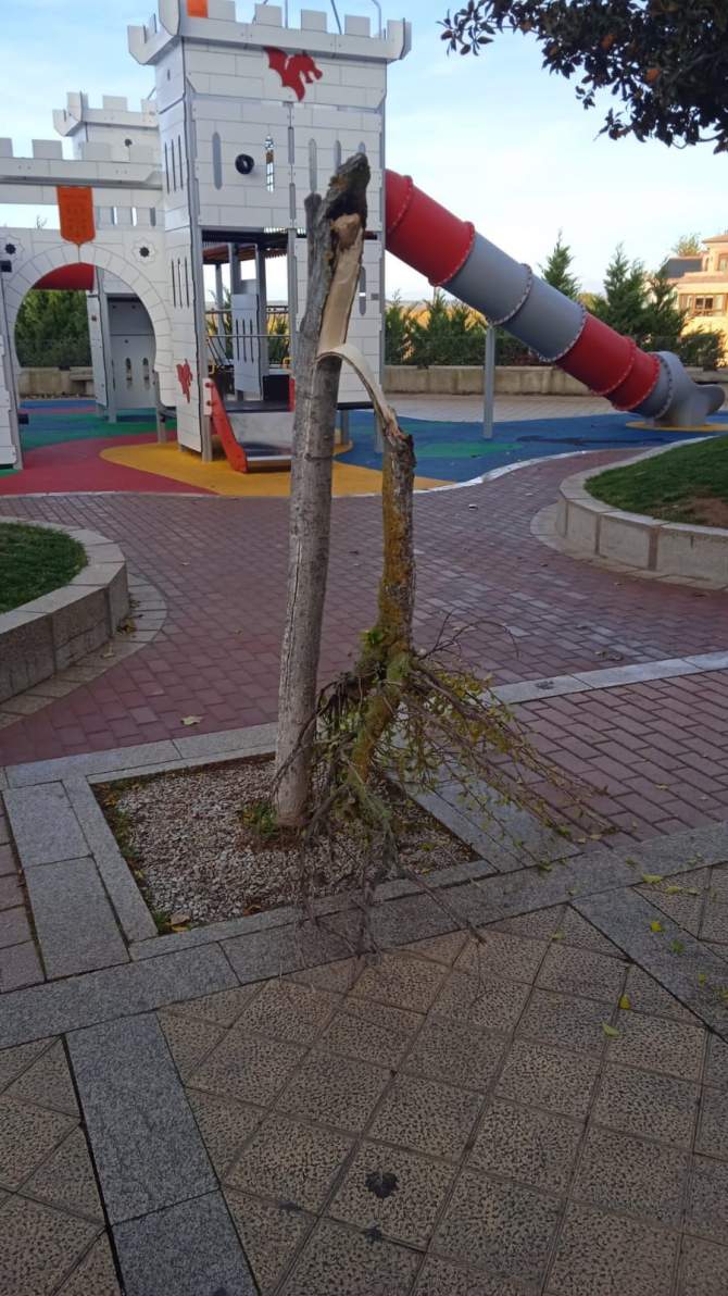 Fotos concejalía de Fiestas