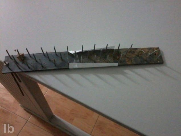 [Img #30315]
