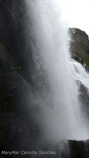 [Img #30846]