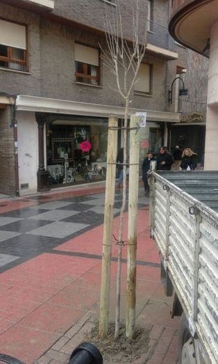 Foto Ayuntamiento de Benavente