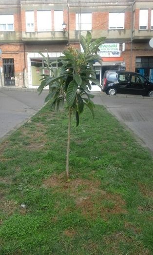 Foto Ayuntamiento de Benavente