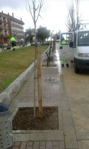 Foto Ayuntamiento de Benavente