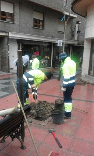 Foto Ayuntamiento de Benavente